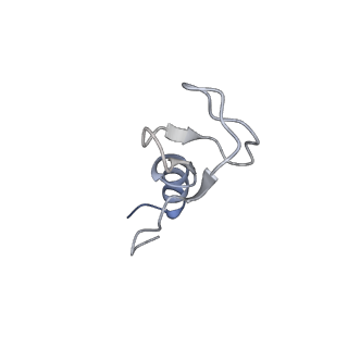 13681_7pwg_m_v1-0
Cryo-EM structure of large subunit of Giardia lamblia ribosome at 2.7 A resolution