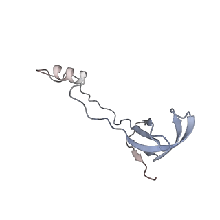 13681_7pwg_o_v1-0
Cryo-EM structure of large subunit of Giardia lamblia ribosome at 2.7 A resolution
