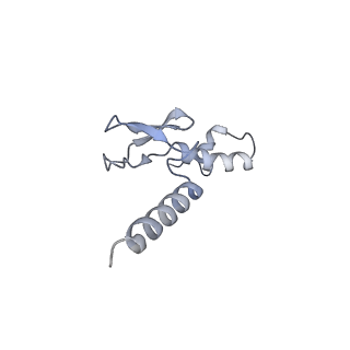 13681_7pwg_p_v1-0
Cryo-EM structure of large subunit of Giardia lamblia ribosome at 2.7 A resolution