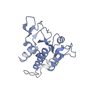13683_7pwo_A1_v1-0
Cryo-EM structure of Giardia lamblia ribosome at 2.75 A resolution