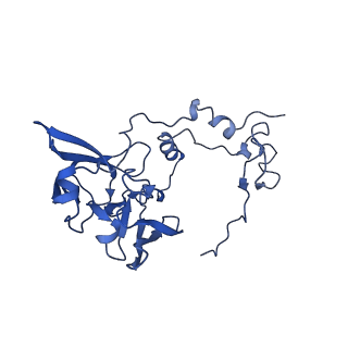 13683_7pwo_A2_v1-0
Cryo-EM structure of Giardia lamblia ribosome at 2.75 A resolution