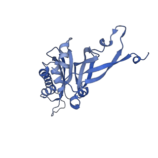 13683_7pwo_B1_v1-0
Cryo-EM structure of Giardia lamblia ribosome at 2.75 A resolution