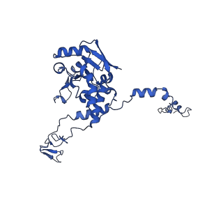 13683_7pwo_C2_v1-0
Cryo-EM structure of Giardia lamblia ribosome at 2.75 A resolution