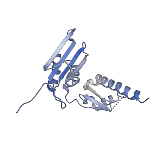 13683_7pwo_D1_v1-0
Cryo-EM structure of Giardia lamblia ribosome at 2.75 A resolution