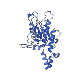 13683_7pwo_D2_v1-0
Cryo-EM structure of Giardia lamblia ribosome at 2.75 A resolution