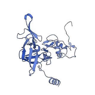 13683_7pwo_E1_v1-0
Cryo-EM structure of Giardia lamblia ribosome at 2.75 A resolution