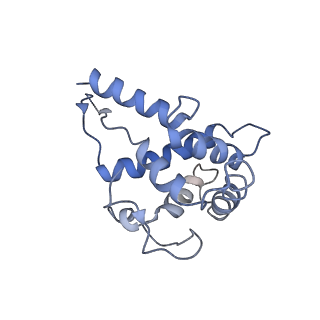 13683_7pwo_F1_v1-0
Cryo-EM structure of Giardia lamblia ribosome at 2.75 A resolution
