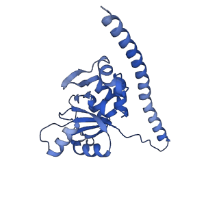 13683_7pwo_F2_v1-0
Cryo-EM structure of Giardia lamblia ribosome at 2.75 A resolution