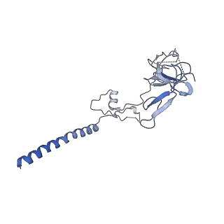 13683_7pwo_G1_v1-0
Cryo-EM structure of Giardia lamblia ribosome at 2.75 A resolution