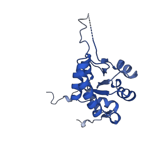 13683_7pwo_G2_v1-0
Cryo-EM structure of Giardia lamblia ribosome at 2.75 A resolution