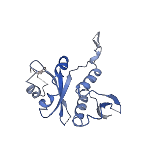 13683_7pwo_H1_v1-0
Cryo-EM structure of Giardia lamblia ribosome at 2.75 A resolution