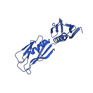 13683_7pwo_H2_v1-0
Cryo-EM structure of Giardia lamblia ribosome at 2.75 A resolution