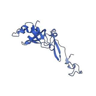 13683_7pwo_I1_v1-0
Cryo-EM structure of Giardia lamblia ribosome at 2.75 A resolution