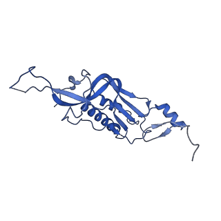 13683_7pwo_I2_v1-0
Cryo-EM structure of Giardia lamblia ribosome at 2.75 A resolution