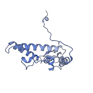 13683_7pwo_J1_v1-0
Cryo-EM structure of Giardia lamblia ribosome at 2.75 A resolution