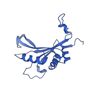 13683_7pwo_J2_v1-0
Cryo-EM structure of Giardia lamblia ribosome at 2.75 A resolution