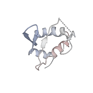 13683_7pwo_K1_v1-0
Cryo-EM structure of Giardia lamblia ribosome at 2.75 A resolution