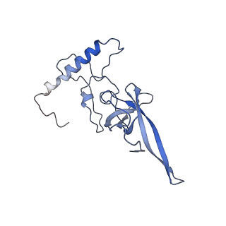 13683_7pwo_L1_v1-0
Cryo-EM structure of Giardia lamblia ribosome at 2.75 A resolution