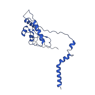 13683_7pwo_L2_v1-0
Cryo-EM structure of Giardia lamblia ribosome at 2.75 A resolution