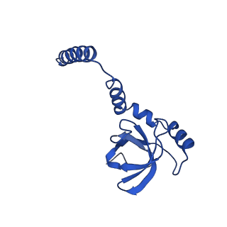 13683_7pwo_M2_v1-0
Cryo-EM structure of Giardia lamblia ribosome at 2.75 A resolution