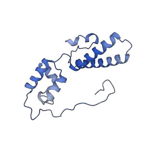 13683_7pwo_N1_v1-0
Cryo-EM structure of Giardia lamblia ribosome at 2.75 A resolution