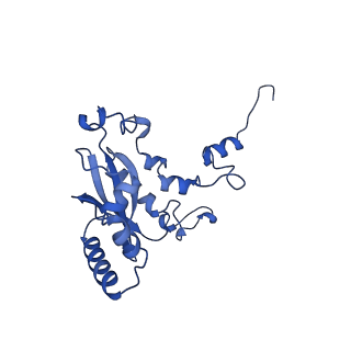 13683_7pwo_N2_v1-0
Cryo-EM structure of Giardia lamblia ribosome at 2.75 A resolution