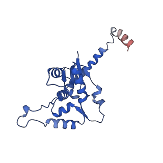 13683_7pwo_O2_v1-0
Cryo-EM structure of Giardia lamblia ribosome at 2.75 A resolution