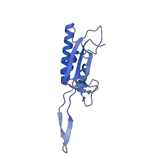 13683_7pwo_P2_v1-0
Cryo-EM structure of Giardia lamblia ribosome at 2.75 A resolution