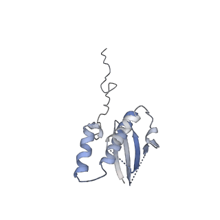 13683_7pwo_Q1_v1-0
Cryo-EM structure of Giardia lamblia ribosome at 2.75 A resolution