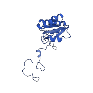 13683_7pwo_Q2_v1-0
Cryo-EM structure of Giardia lamblia ribosome at 2.75 A resolution