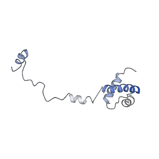 13683_7pwo_R1_v1-0
Cryo-EM structure of Giardia lamblia ribosome at 2.75 A resolution