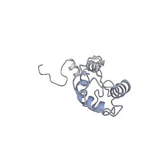 13683_7pwo_S1_v1-0
Cryo-EM structure of Giardia lamblia ribosome at 2.75 A resolution