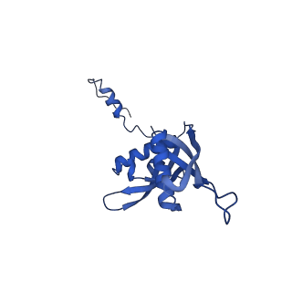 13683_7pwo_S2_v1-0
Cryo-EM structure of Giardia lamblia ribosome at 2.75 A resolution