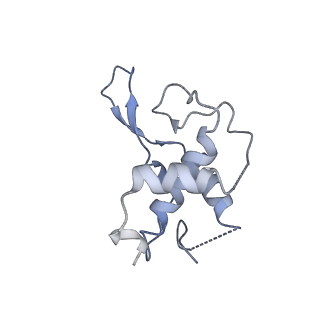 13683_7pwo_T1_v1-0
Cryo-EM structure of Giardia lamblia ribosome at 2.75 A resolution
