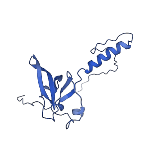 13683_7pwo_T2_v1-0
Cryo-EM structure of Giardia lamblia ribosome at 2.75 A resolution