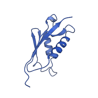 13683_7pwo_U2_v1-0
Cryo-EM structure of Giardia lamblia ribosome at 2.75 A resolution