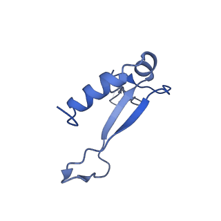 13683_7pwo_V1_v1-0
Cryo-EM structure of Giardia lamblia ribosome at 2.75 A resolution