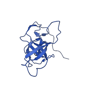 13683_7pwo_V2_v1-0
Cryo-EM structure of Giardia lamblia ribosome at 2.75 A resolution