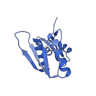 13683_7pwo_W1_v1-0
Cryo-EM structure of Giardia lamblia ribosome at 2.75 A resolution