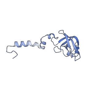 13683_7pwo_X1_v1-0
Cryo-EM structure of Giardia lamblia ribosome at 2.75 A resolution