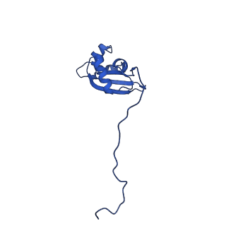 13683_7pwo_X2_v1-0
Cryo-EM structure of Giardia lamblia ribosome at 2.75 A resolution