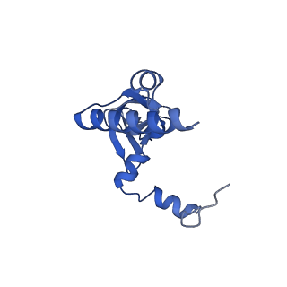 13683_7pwo_Y2_v1-0
Cryo-EM structure of Giardia lamblia ribosome at 2.75 A resolution