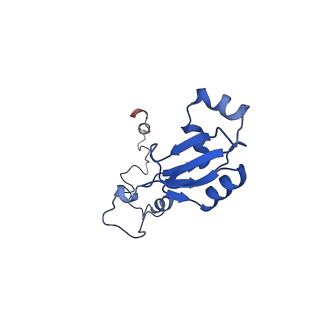 13683_7pwo_a2_v1-0
Cryo-EM structure of Giardia lamblia ribosome at 2.75 A resolution