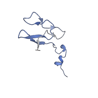 13683_7pwo_b1_v1-0
Cryo-EM structure of Giardia lamblia ribosome at 2.75 A resolution