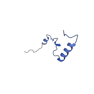 13683_7pwo_b2_v1-0
Cryo-EM structure of Giardia lamblia ribosome at 2.75 A resolution