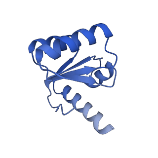 13683_7pwo_c2_v1-0
Cryo-EM structure of Giardia lamblia ribosome at 2.75 A resolution