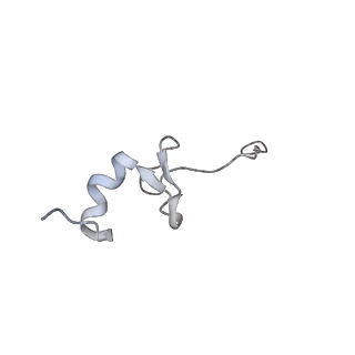 13683_7pwo_d1_v1-0
Cryo-EM structure of Giardia lamblia ribosome at 2.75 A resolution