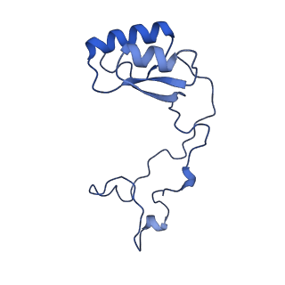 13683_7pwo_e2_v1-0
Cryo-EM structure of Giardia lamblia ribosome at 2.75 A resolution