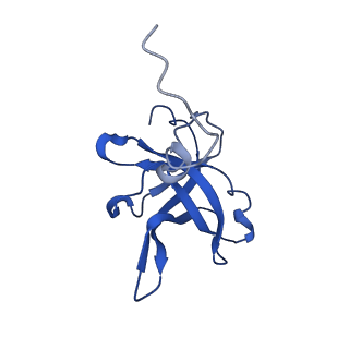 13683_7pwo_f2_v1-0
Cryo-EM structure of Giardia lamblia ribosome at 2.75 A resolution
