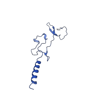 13683_7pwo_g2_v1-0
Cryo-EM structure of Giardia lamblia ribosome at 2.75 A resolution
